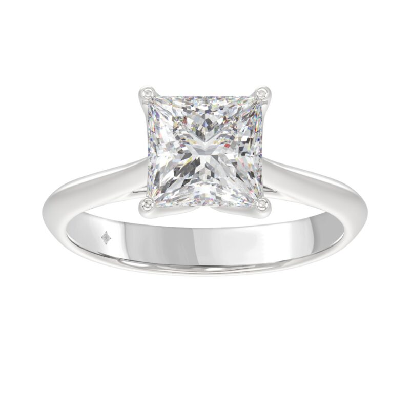 19251364 EC 113055W 1214x1214